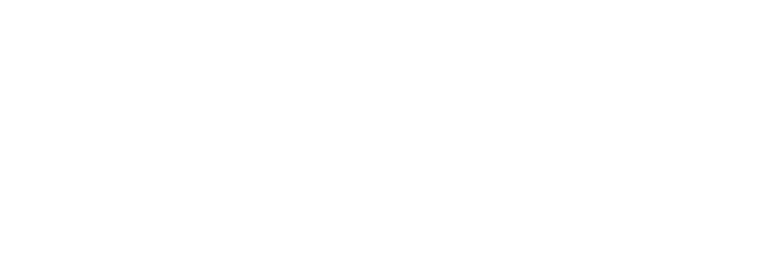 Knoo Logo